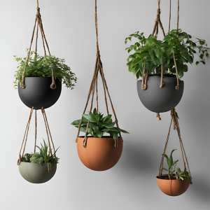 Hanging Pots